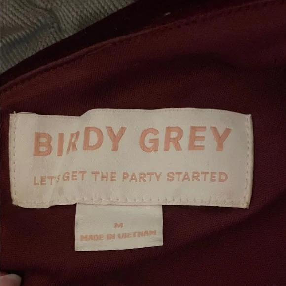 Birdy Grey One-Shoulder Velvet Dress in Cabernet - Picture 2 of 3